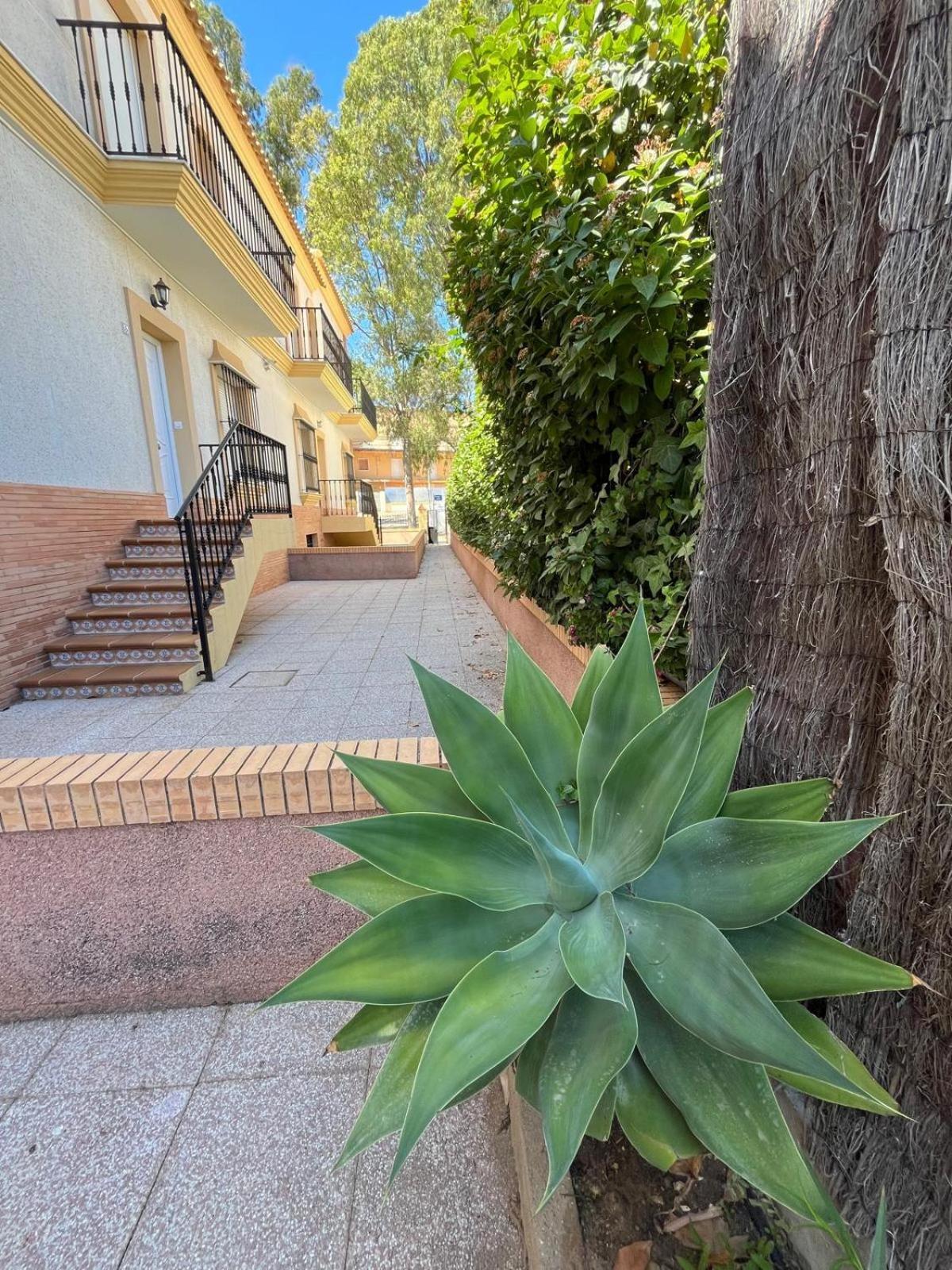 Apartamentos Turisticos Paraiso Andaluz Isla Cristina Exteriör bild